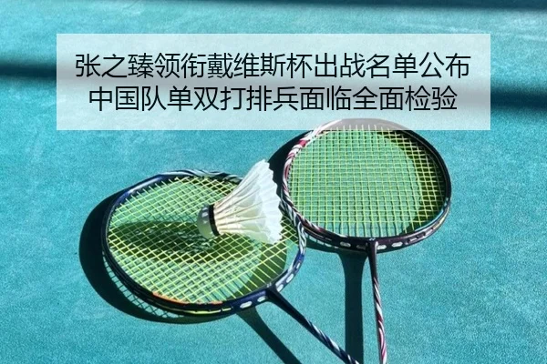 张之臻领衔戴维斯杯出战名单公布 中国队单双打排兵面临全面检验（AYXAPP）