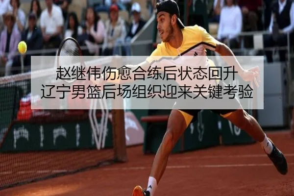 赵继伟伤愈合练后状态回升 辽宁男篮后场组织迎来关键考验（AYXAPP）